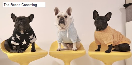 Best 1 Beauty Salons in Middle Cove, NSW: Toe Beans Grooming,