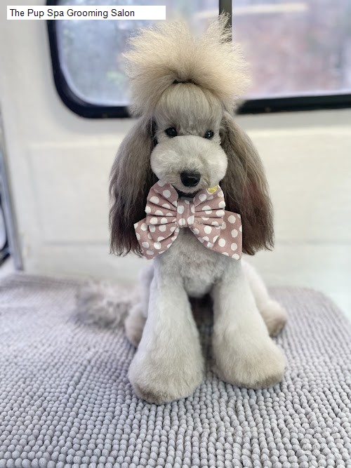 Best 2 Beauty Salons in Bonnet Bay, NSW: Ouch Waxing Studio,The Pup Spa Grooming Salon,