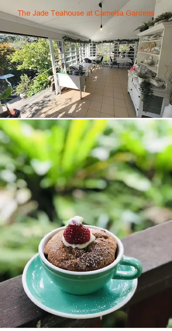 Find the List 3 budget-friendly restaurants near you in Caringbah South NSW: 1.The Jade Teahouse at Camellia Gardens, 2.Na Nas Box Chinese Restaurant, 3.Port Hacking Seafood, 