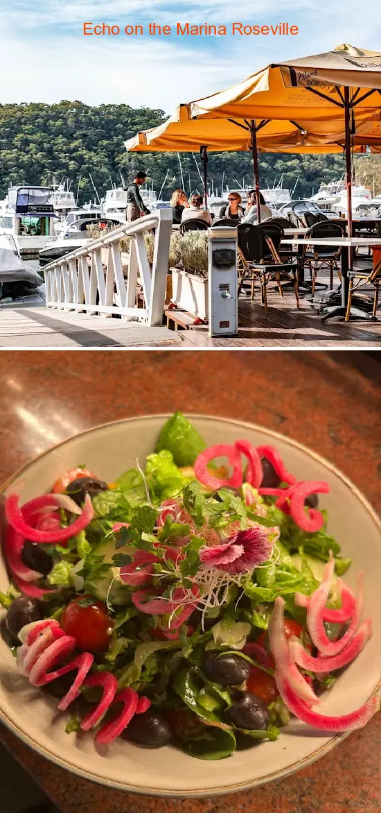 Find the List 4 budget-friendly restaurants near you in Roseville Chase NSW: 1.Echo on the Marina Roseville, 2.Tetas Authentic Lebanese, 3.Farina Pizzeria Roseville, 4.Thaiangle House, 