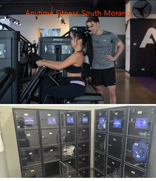 Here are the top gyms in South Morang, VIC to help you reach your fitness goals. Compare features, prices, and real customer feedback.1.Anytime Fitness South Morang, 2.Fitstop South Morang, 3.Powerhouse Gym South Morang 24/7, 4.Revo Fitness - Plenty Valley, 5.Club Lime South Morang, 6.Back To Basics 4 Life, 7.The Athlete HQ, 8.Mill Park Physiotherapy, 9.BYK Fitness, 10.Equilibrium Health & Fitness 24/7 South Morang, 11.The Health Haven, 12.Studio 63 Health and Fitness, 13.Dooren Rogen Way Calisthenics Park, 14.One Health & Fitness, 