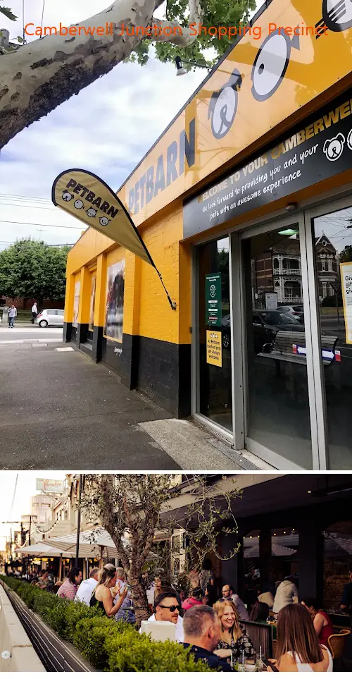 Here are the top gyms in Camberwell, VIC to help you reach your fitness goals. Compare features, prices, and real customer feedback.1.Camberwell Junction Shopping Precinct, 2.Snap Fitness 24/7 Camberwell, 3.Goodlife Health Clubs Camberwell, 4.Anytime Fitness Camberwell, 5.BFT Camberwell, 6.4ME Pilates - Camberwell, 7.Vision Personal Training Camberwell, 8.UBX Camberwell, 9.Club Lime Camberwell, 10.The Retreat Yoga Studio, 11.aptus health & fitness, 12.The Core Cartel - Camberwell, 13.Fitness Hub, 14.Better With Sarah, 15.Club Lime Express Camberwell, 16.Camberwell Sportsground Outdoor Gym, 