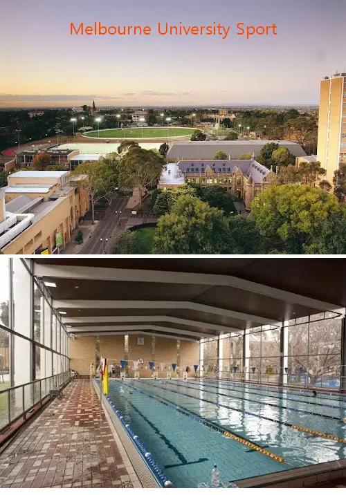 Here are the top gyms in Parkville, VIC to help you reach your fitness goals. Compare features, prices, and real customer feedback.1.Melbourne University Sport, 2.The Gym Melbourne, 3.Beaurepaire Centre, 4.EFM Health Club, 5.Cade Way Outdoor Gym, 6.BigJin Fitness, 7.Galada Avenue Outdoor Gym, 