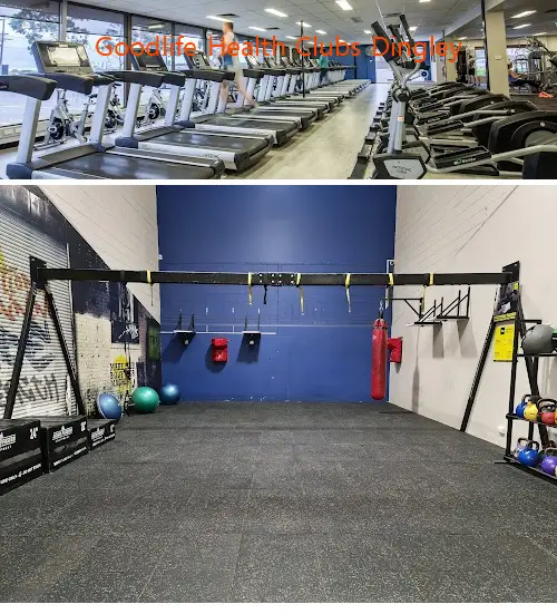 Here are the top gyms in Dingley Village, VIC to help you reach your fitness goals. Compare features, prices, and real customer feedback.1.Goodlife Health Clubs Dingley, 2.Boss Gym Dingley Village, 3.Anytime Fitness Dingley Village, 