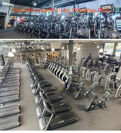 Here are the top gyms in Mulgrave, VIC to help you reach your fitness goals. Compare features, prices, and real customer feedback.1.Goodlife Health Clubs Waverley Park, 2.2nd Hand Fitness, 3.Personal Coaching Health Club Mulgrave, 4.METS Performance Consulting, 5.Snap Fitness 24/7 Mulgrave-Waverley Gardens, 6.In House Studio Fitness, 7.Club Lime Mulgrave, 8.BFT Mulgrave, 9.Life Fitness Australia, 10.The Lifting Shed, 11.KORElab Performance, 12.KORElab Performance, 13.Pilates Fit Physio, 14.Ash Douglass Strength Coaching, 15.Freeway Reserve Outdoor Exercise Circuit, 16.XL Fitness Mulgrave, 