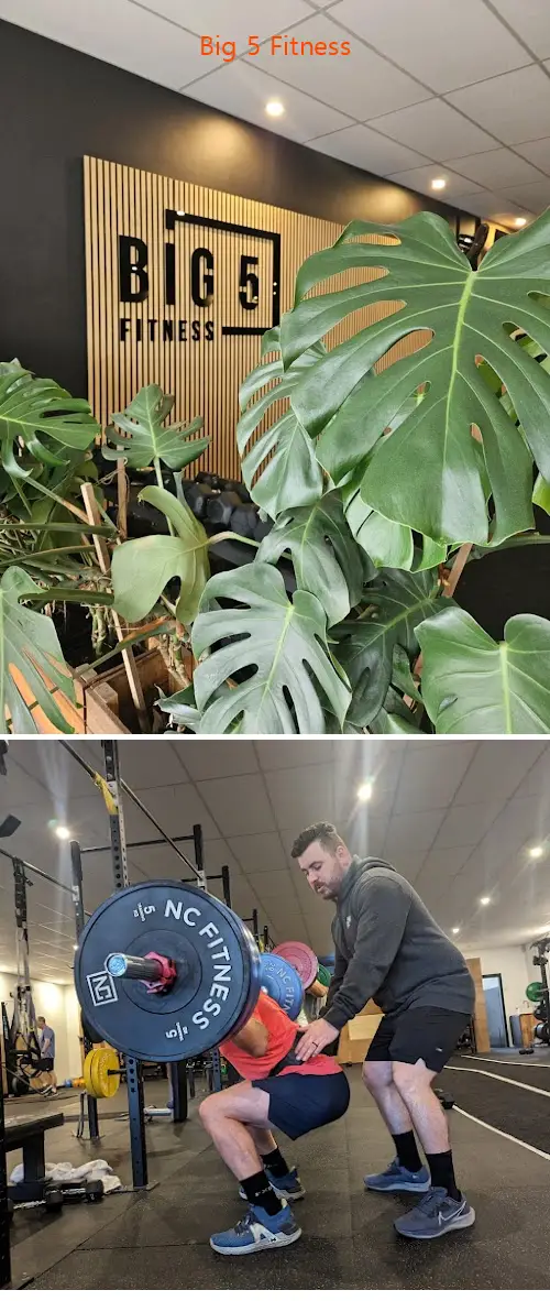 Here are the top gyms in Kingsville, VIC to help you reach your fitness goals. Compare features, prices, and real customer feedback.1.Big 5 Fitness, 2.Fit Well You | Physiologist & Personal Trainer | Yarraville, 3.Erin Scarlett Pilates, 