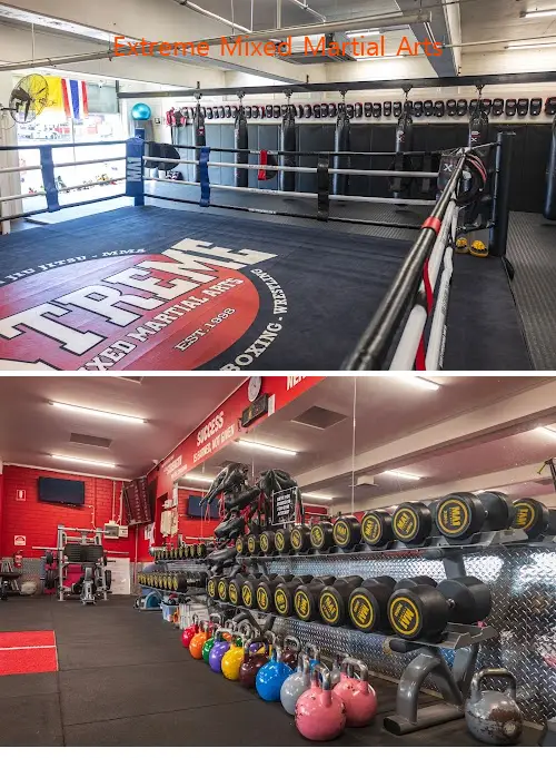 Here are the top gyms in Malvern East, VIC to help you reach your fitness goals. Compare features, prices, and real customer feedback.1.Extreme Mixed Martial Arts, 2.Realfit Personal Training & Gym, 3.HOLISM RETREAT, 4.Love Athletica Pilates Malvern, 5.Return Pilates, 6.CorePlus Malvern East, 7.Grounded Movement Physiotherapy & Pilates, 8.ME Physio, 9.Pillar Health, 10.Body be well-personal trainers, 11.ON21, 12.Central Park Outdoor Gym, 13.The Habitat Space, 
