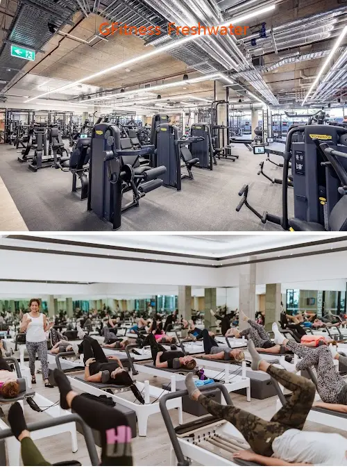 Here are the top gyms in Freshwater, NSW to help you reach your fitness goals. Compare features, prices, and real customer feedback.1.GFitness Freshwater, 2.Soulhub Freshie, 3.Concept G, 4.BFT Freshwater, 