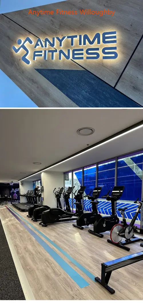 Here are the top gyms in Willoughby, NSW to help you reach your fitness goals. Compare features, prices, and real customer feedback.1.Anytime Fitness Willoughby, 2.Fitness First Willoughby Platinum, 3.Love Pilates Willoughby, 4.Exclusive Pole Dancing Sydney (Willoughby), 5.Vision Personal Training Willoughby, 6.Willoughby Leisure Centre, 7.Wyllie Martial Arts, 8.Ivy Training, 9.Fortified Body Gym, 10.Willoughby Squash Club, 11.Studio 84 Health & Fitness, 12.Studio High Street Pilates & Movement, 13.Movement Science Physiotherapy, 14.Pilatestry Studios, 15.Sterling Results Fitness Club, 16.Vita Health Club, 