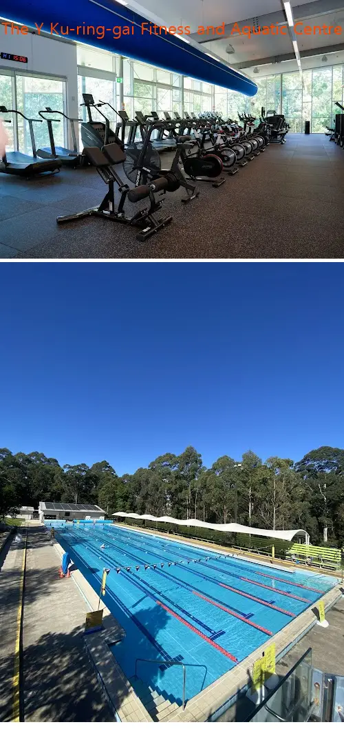 Here are the top gyms in West Pymble, NSW to help you reach your fitness goals. Compare features, prices, and real customer feedback.1.The Y Ku-ring-gai Fitness and Aquatic Centre, 2.Go For Fit group fitness classes for women over 40, 3.Health Hive Personal Training, 4.refresh YOU Pymble, 5.Lofberg Oval Outdoor Fitness Equipment, 6.Motus Health, 