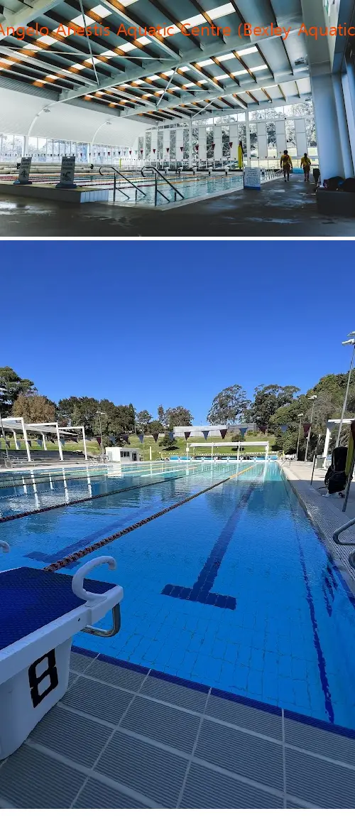 Here are the top gyms in Bexley North, NSW to help you reach your fitness goals. Compare features, prices, and real customer feedback.1.Angelo Anestis Aquatic Centre (Bexley Aquatic), 2.KX Pilates Bexley North, 3.Healthstin Bexley, 4.Muse Pilates Studio Bexley North, 5.AXYS Pilates, 6.Karate One - Bexley North, 