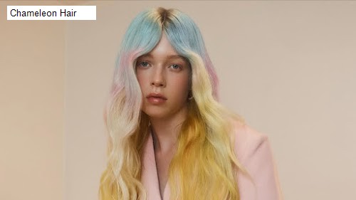 Best 3 Hair Salons in North Willoughby, NSW: Chameleon Hair,Diamond Scissor Cuts,Sonas Hair Design,