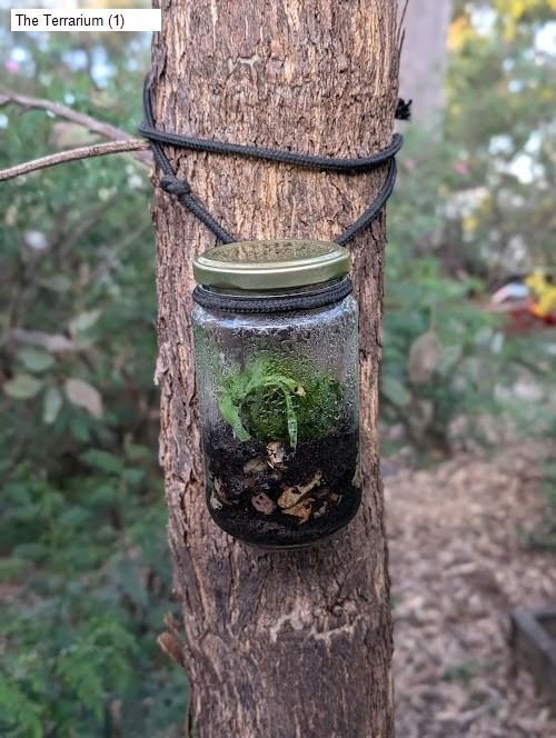 3 review location for tourist in Vermont South, VIC Australia: 1. The Terrarium (1),2. Bellbird Dell Reserve,3. Terrara Park,