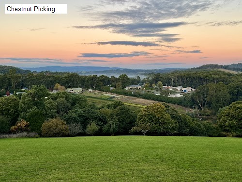 1 review location for tourist in The Patch, VIC Australia: 1. Chestnut Picking,