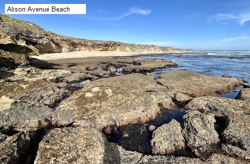 6 review location for tourist in Rye, VIC Australia: 1. Alison Avenue Beach,2. Rye Pier,3. The Dragons Head,4. Rye Foreshore Reserve,5. JETLET - Mornington Peninsula Jet Ski Hire,6. rock pool and swmming,
