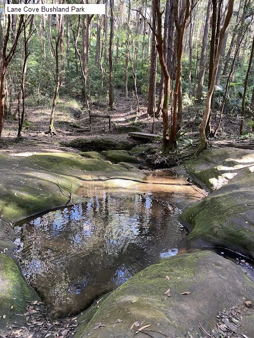 7 review location for tourist in Lane Cove, NSW Australia: 1. Lane Cove Bushland Park,2. Waterview Community Centre,3. Carisbrook Historic House,4. Hughes Park,5. Kellys Flat,6. Lillypilly Waterfall,7. Lane Cove Bushwalk,
