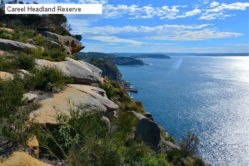 3 review location for tourist in Whale Beach, NSW Australia: 1. Careel Headland Reserve,2. Little Head Headland,3. Malo Reserve,