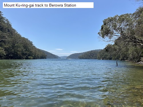 1 review location for tourist in Berowra, NSW Australia: 1. Mount Ku-ring-gai track to Berowra Station,