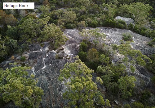 5 review location for tourist in Cherrybrook, NSW Australia: 1. Refuge Rock,2. Greenway Park,3. Callicoma Walk,4. The Lakes of Cherrybrook,5. Meerkat Head,