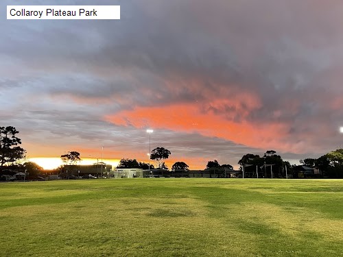 1 review location for tourist in Collaroy Plateau, NSW Australia: 1. Collaroy Plateau Park,