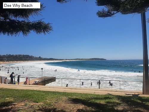 7 review location for tourist in Dee Why, NSW Australia: 1. Dee Why,2. Dee Why Beach,3. Dee Why to Curl Curl Coastal Walk,4. Dee Why Cliff Reserve,5. Stony Range Regional Botanic Garden,6. Dee Why Lagoon Wildlife Refuge,7. Dee Why Point Dee Why 2099,