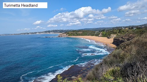 8 review location for tourist in Warriewood, NSW Australia: 1. Warriewood Lookout,2. Turimetta Headland,3. Narrabeen Headland,4. Warriewood Park,5. Warriewood Blow Hole,6. North Narrabeen Reserve,7. Warriewood Valley Community Playground,8. Rat Park,