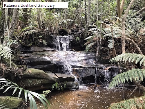 1 review location for tourist in Ingleside, NSW Australia: 1. Katandra Bushland Sanctuary,