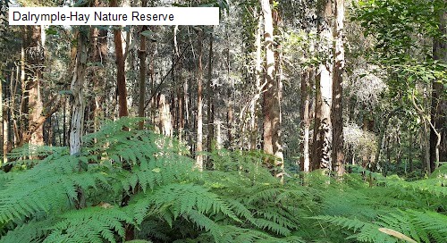 7 review location for tourist in Pymble, NSW Australia: 1. Dalrymple-Hay Nature Reserve,2. Sheldon Forest Walking Track,3. Bicentennial Park West Pymble,4. Pymble Soldiers Memorial Park,5. Bandalong Reserve,6. Frogmore Park,7. Pee Wee Park,