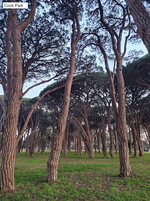 1 review location for tourist in Kyeemagh, NSW Australia: 1. Cook Park,