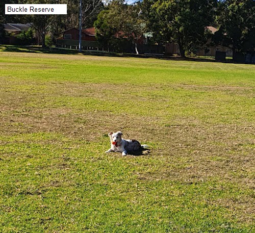 2 review location for tourist in Menai, NSW Australia: 1. Buckle Reserve,2. Donut King Circle,
